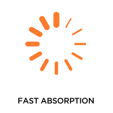 fast-absorption-logo